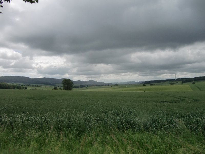 Devese 2010 043